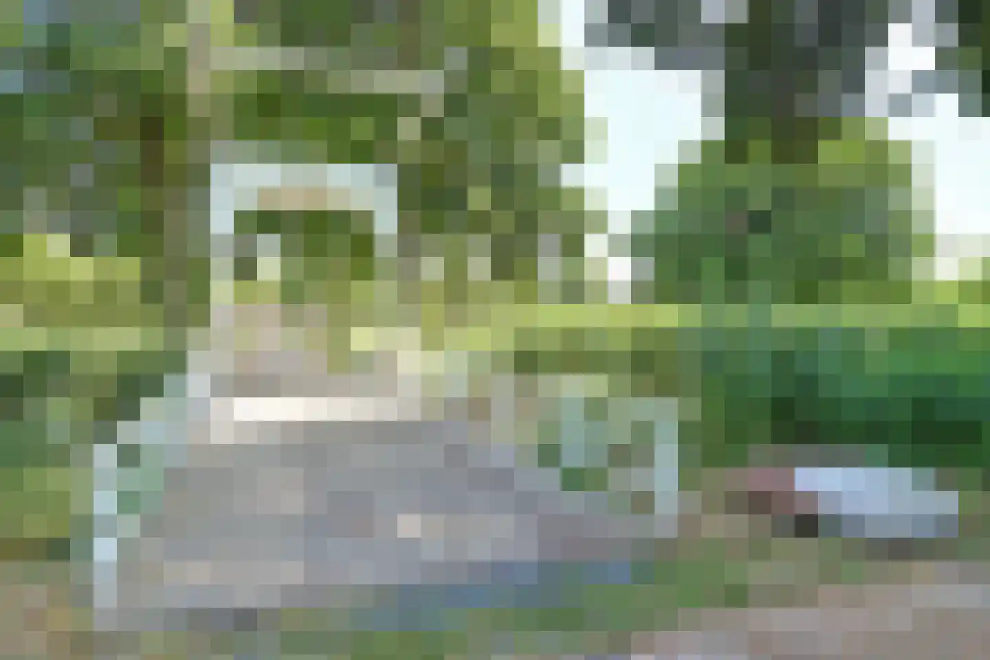 Amaliastein 179 Vianen thumbnail 44