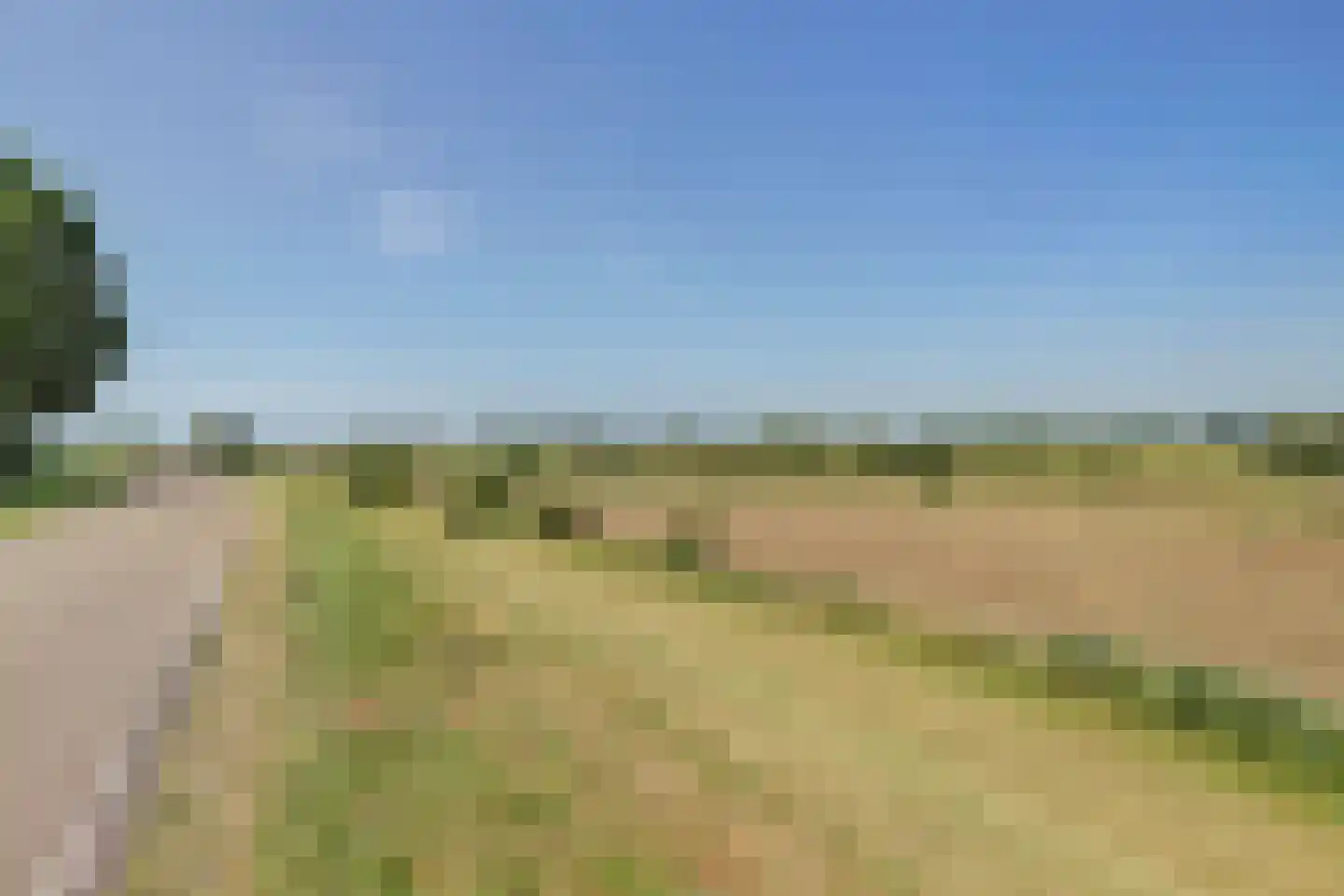 Amaliastein 179 Vianen thumbnail 48