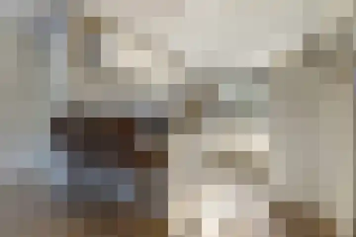 Amaliastein 181 Vianen thumbnail 12