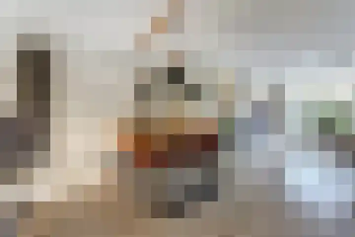Amaliastein 181 Vianen thumbnail 16