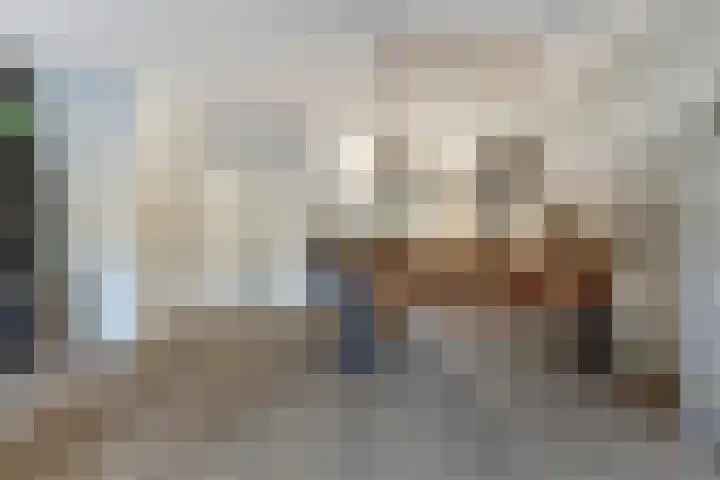 Amaliastein 181 Vianen thumbnail 18