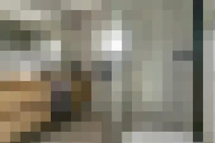 Amaliastein 181 Vianen thumbnail 22