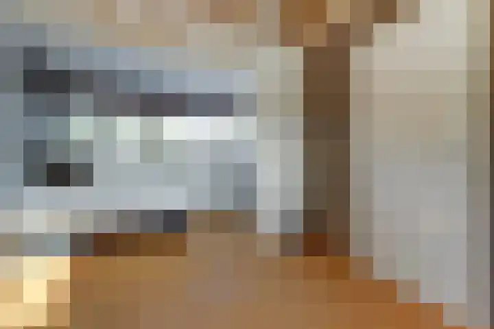 Amaliastein 181 Vianen thumbnail 34