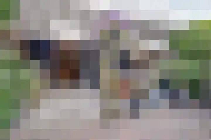 Amaliastein 181 Vianen thumbnail 35