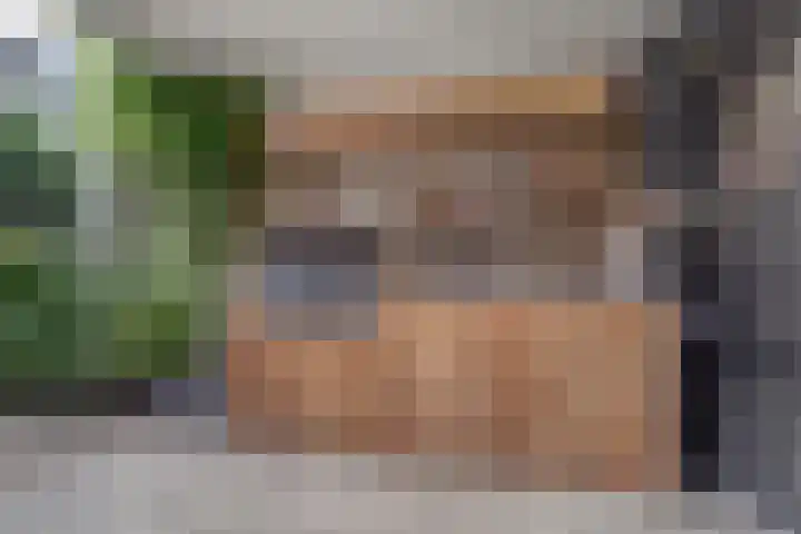 Amaliastein 181 Vianen thumbnail 37