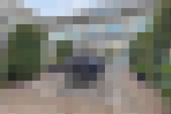 Amaliastein 181 Vianen thumbnail 40