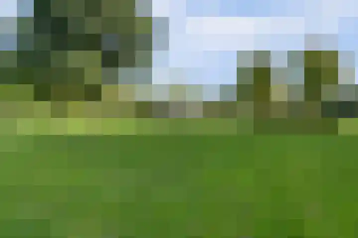 Amaliastein 181 Vianen thumbnail 41