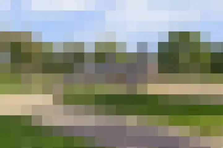 Amaliastein 181 Vianen thumbnail 42