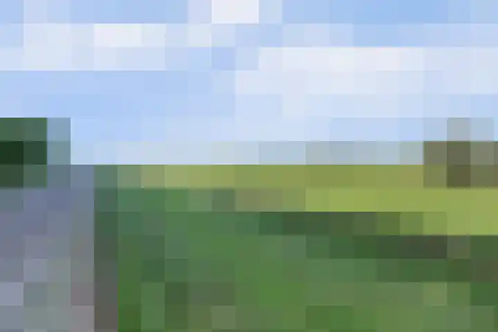 Amaliastein 181 Vianen thumbnail 44