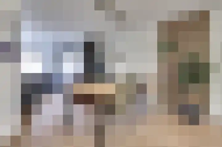 Amaliastein 21 Vianen thumbnail 10