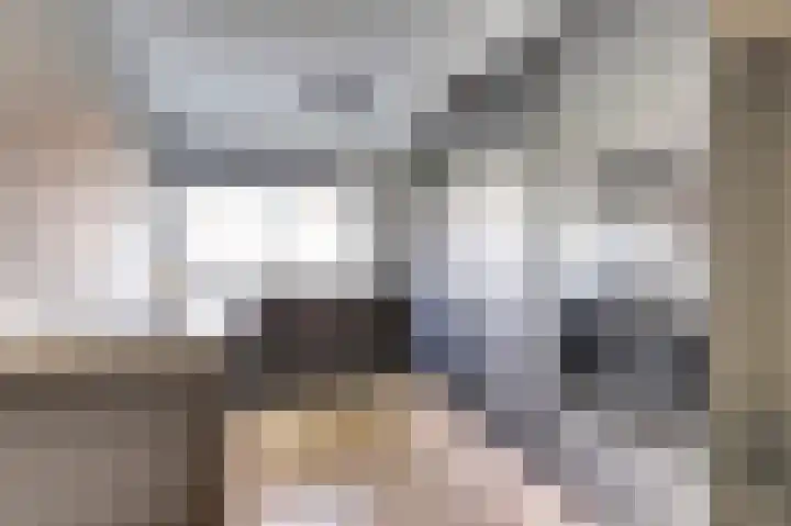 Amaliastein 21 Vianen thumbnail 12