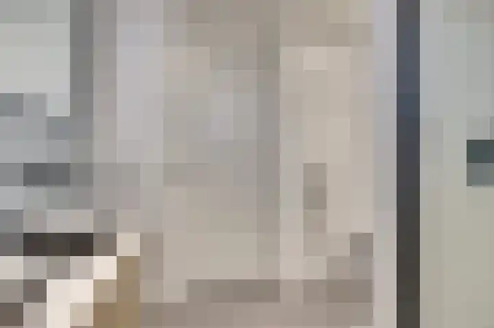 Amaliastein 21 Vianen thumbnail 21