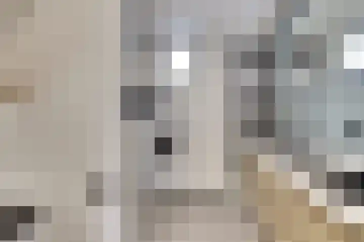 Amaliastein 21 Vianen thumbnail 22
