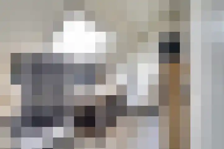 Amaliastein 21 Vianen thumbnail 27
