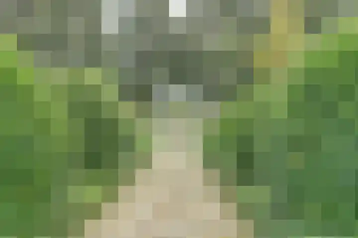 Amaliastein 21 Vianen thumbnail 33