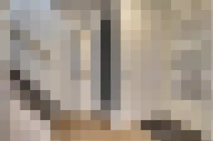 Amaliastein 21 Vianen thumbnail 4