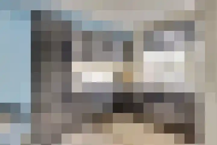 Amaliastein 211 Vianen thumbnail 10