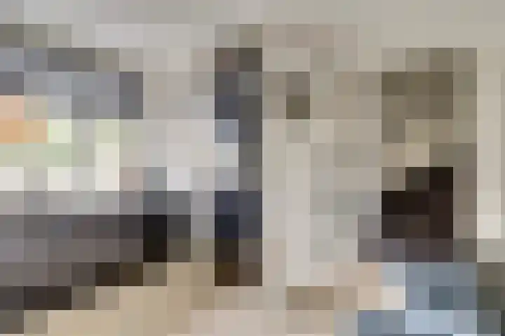 Amaliastein 211 Vianen thumbnail 11