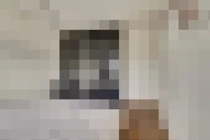 Amaliastein 211 Vianen thumbnail 14