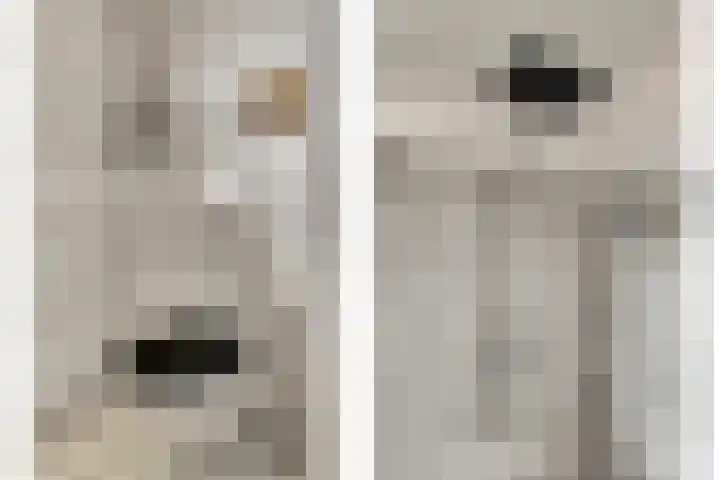 Amaliastein 211 Vianen thumbnail 21