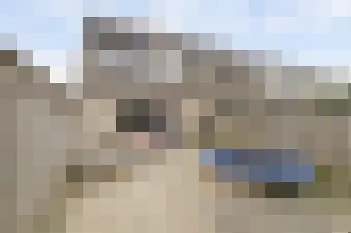 Amaliastein 211 Vianen thumbnail 27
