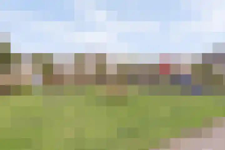 Amaliastein 211 Vianen thumbnail 29