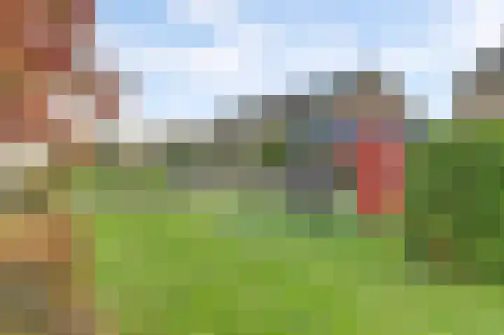 Amaliastein 211 Vianen thumbnail 30