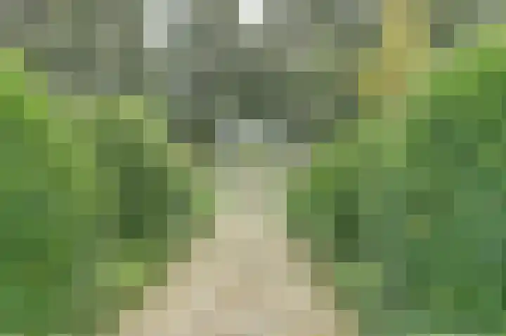 Amaliastein 211 Vianen thumbnail 31