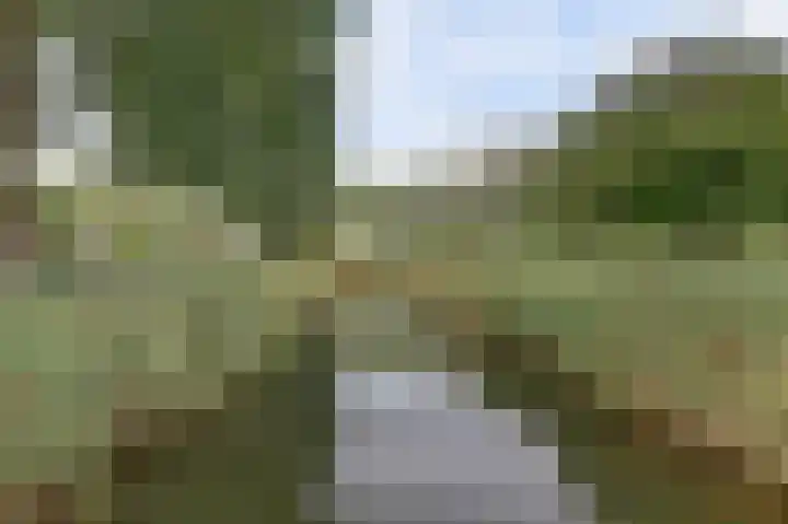 Amaliastein 211 Vianen thumbnail 32