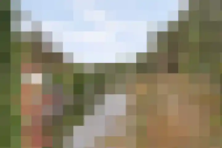 Amaliastein 211 Vianen thumbnail 34