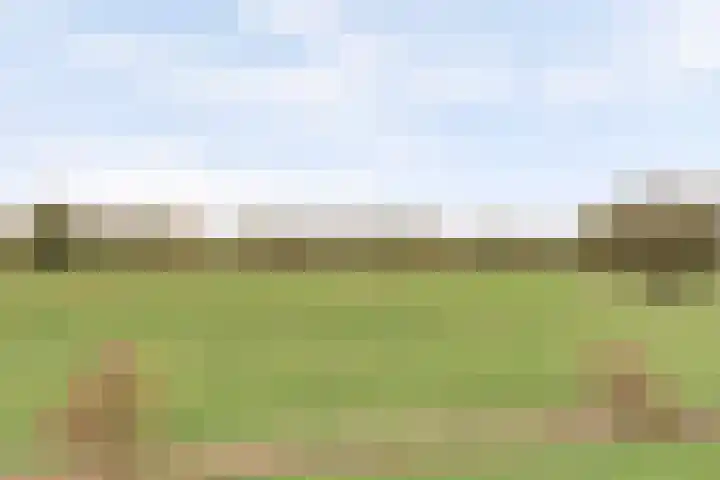 Amaliastein 211 Vianen thumbnail 35