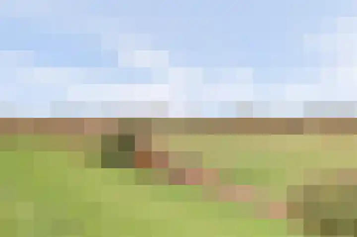 Amaliastein 211 Vianen thumbnail 36