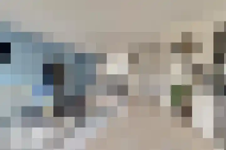 Amaliastein 211 Vianen thumbnail 6