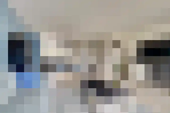 Amaliastein 211 Vianen thumbnail 7