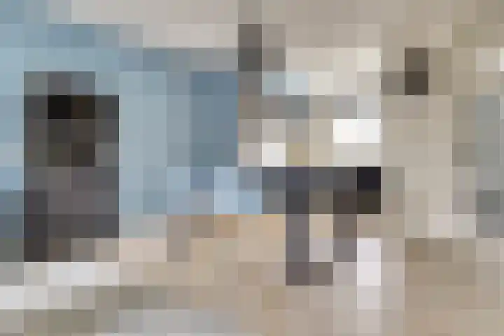 Amaliastein 211 Vianen thumbnail 8