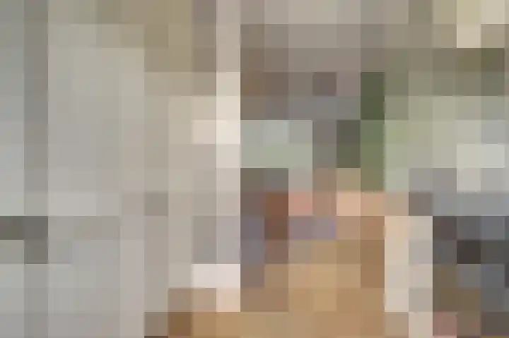 Amaliastein 249 Vianen thumbnail 11