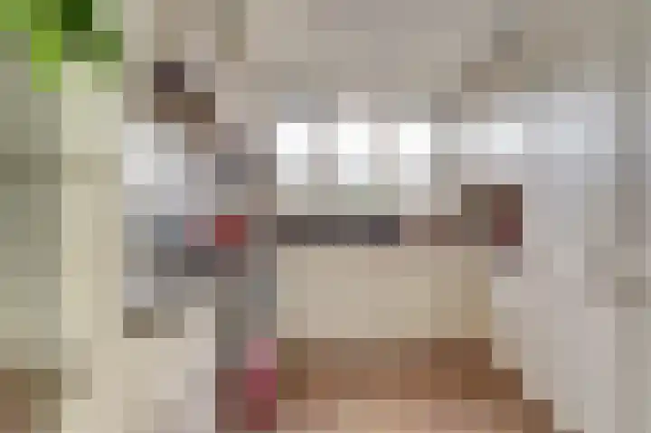 Amaliastein 249 Vianen thumbnail 12