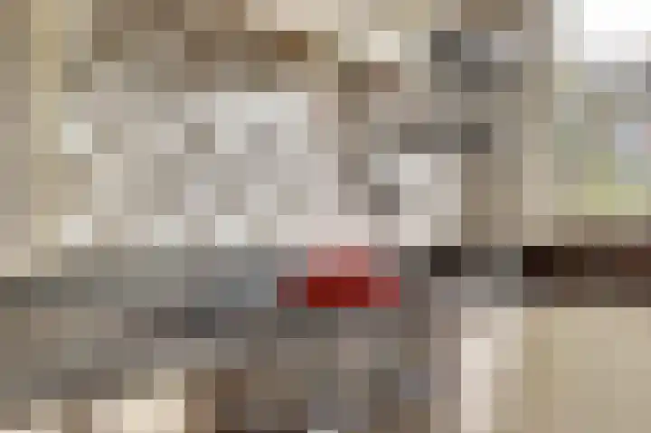 Amaliastein 249 Vianen thumbnail 13