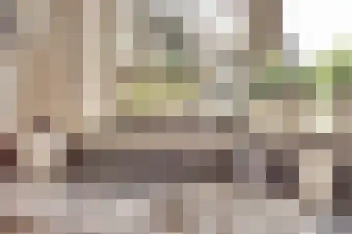 Amaliastein 249 Vianen thumbnail 14