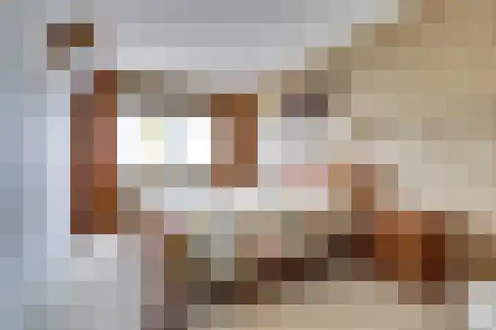 Amaliastein 249 Vianen thumbnail 17