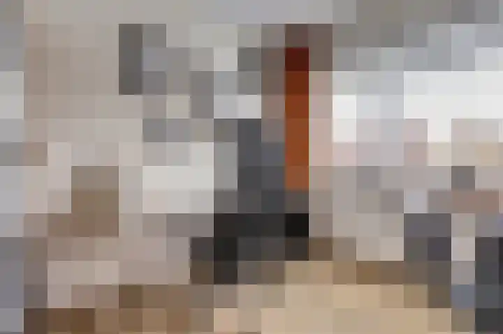 Amaliastein 249 Vianen thumbnail 20