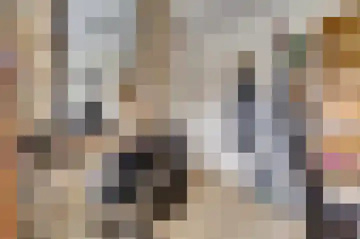 Amaliastein 249 Vianen thumbnail 22