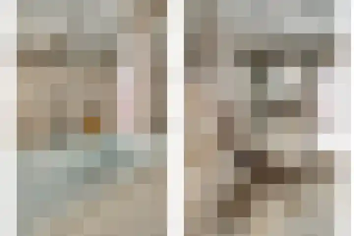 Amaliastein 249 Vianen thumbnail 24