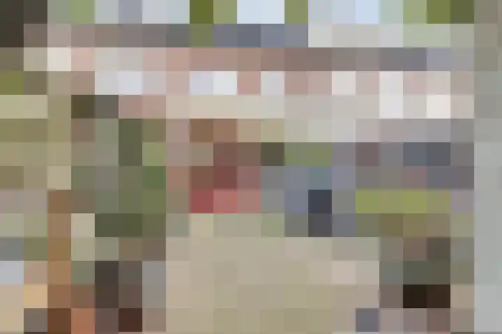 Amaliastein 249 Vianen thumbnail 30