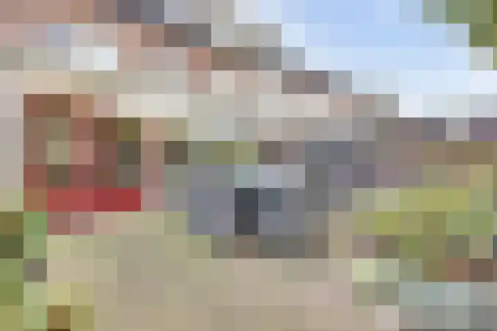 Amaliastein 249 Vianen thumbnail 31