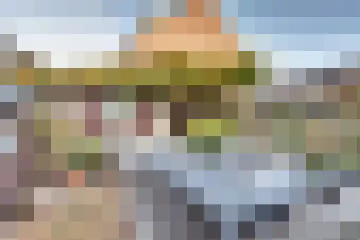 Amaliastein 249 Vianen thumbnail 32