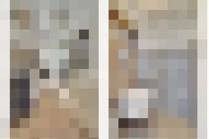 Amaliastein 249 Vianen thumbnail 4