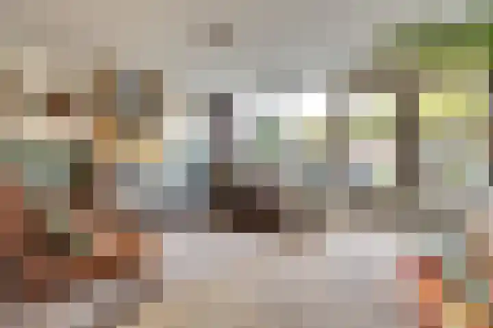 Amaliastein 249 Vianen thumbnail 5