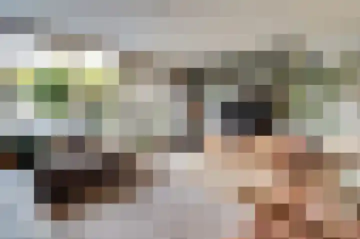 Amaliastein 249 Vianen thumbnail 6