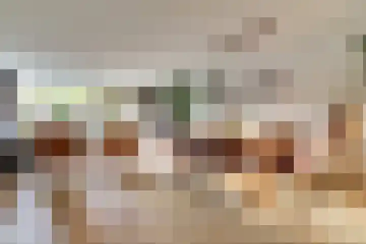 Amaliastein 249 Vianen thumbnail 9